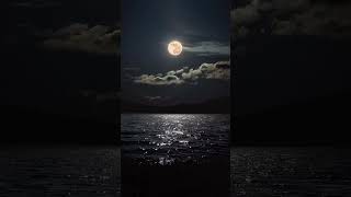Moonlight 🌓 #viralshort #scenery