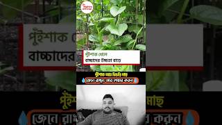 #amardingulosobjayhariyeadhare​#আমারদিনগুলোসবযায়হারিয়েআধারে​