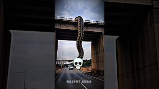 big snakes version ☠️