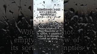【睡眠用】癒しの名言 Healing Quotes #shorts #famousquotes #名言