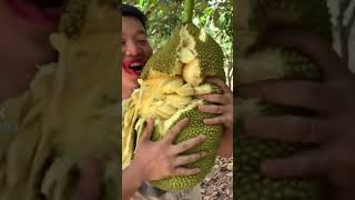 #YOUTUBESHORTS #SHORTS #SHORTSFORFUN