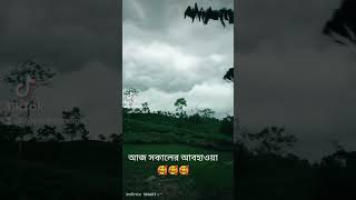 #unfrezzmyaccount #nature #lifeisbutadream #partymusic #love #lovesong #sad