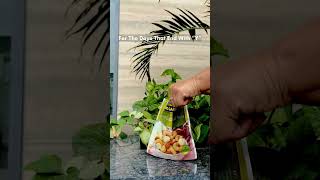 Begin Your Healthy Snacking Routine with Tong Garden Today!" #tonggarden #snacks #food