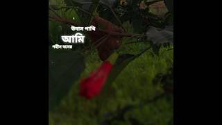 Ami gohin bone udash pakhi 🥰#music #bhojpuri #shortvideo #banglasadsong2025 #public