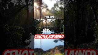 Cenotes windows into the deep Earth #sciencefacts #facts