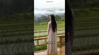 Morning rain whispers peace across the rice fields #shorts #viralshorts  #village #nature