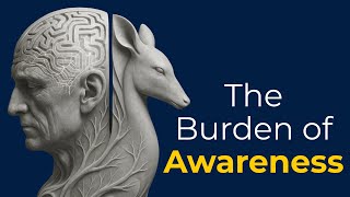 4 Hours of Philosophy on Whether Human Consciousness Makes Us Happier Than Animals to Fall Asleep To