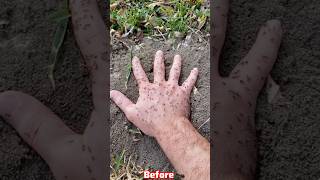 Amazing Animal Growth Journey!😱 #animals #beforeandafter #animalgrowth #animaltransformation