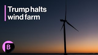 Trump Halts Wind Farm, Orsted Shares Plunge