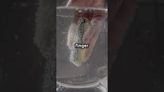 Mind-Blowing Science Trick You Won't Believe!