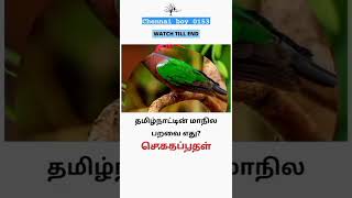 General Knowledge Questions   Create in chennai boy 0153