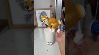 犬の糞で手を洗った🐶🖐️ #shorts #dalimsharma