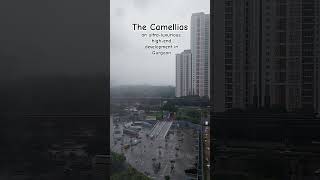 #camellias #gurugram #gurugramrealestate #dlf #camellias #rapidmetro #gurugramproperties