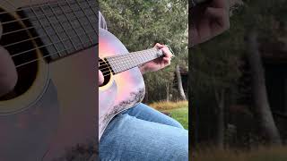Temperance Reel - Guitar