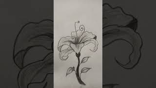 Flower drawing ideas part 1 🌹🎀#aestheic #drawing #artbymuqadas