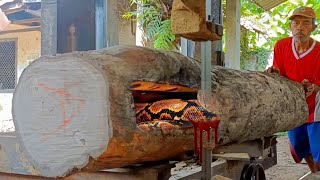 The discovery of expensive old teak wood at the sawmill