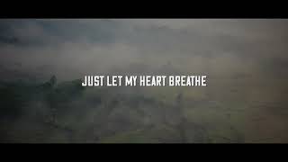 WildVibes & YLLOW - Who I Am