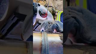 Three Bead Tig Welding Cap #shorts