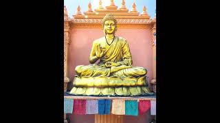 Golden Buddha #shorts #youtubeshorts #divine #goldenbuddha  #golden #buddha #meditationmelody #peace