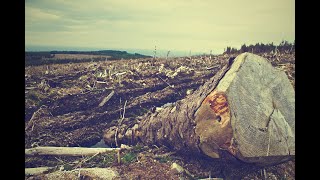 Harvard Report: How To Prevent Future Pandemics