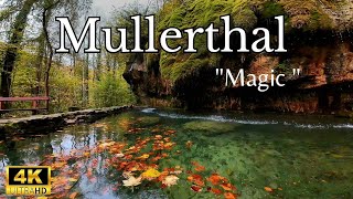 Kallektuffquelle, Mullerthal (Luxembourg) – Hidden Nature Gem | Relaxing 4K Nature Film