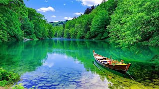 🌿Tropical Morning Piano Ambience at the Beach Resort & Gentle Ocean Sounds for Focus, Peace