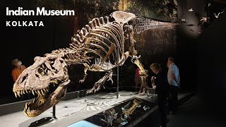 Indian Museum Kolkata | India's Oldest and Largest Museum | Indian Museum Kolkata Tour | 4K