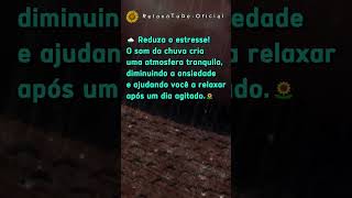 🌻REDUZA O ESTRESSE COM O SOM DA CHUVA #rain #somchuva #somdechuvaparadormirerelaxar