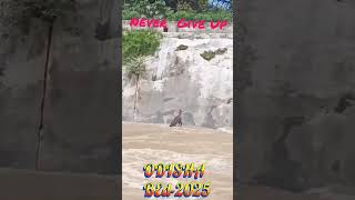 BEd Entrance Preparation 2025 Never Give Up || BEd Entrance 2025 || Master Brain IQ