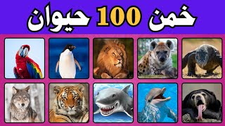 هل تستطيع تخمين 100 حيوان ! 🦁🐦🐍| خمن أسم الحيوان من الصورة! سهل، متوسط، صعب، مستحيل#الغاز_الحيوانات