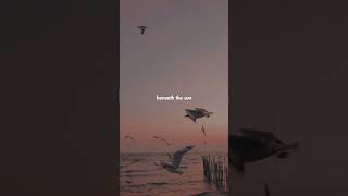 August - Taylor Swift | Aesthetic | Whatsapp Status | English song | Lyrics | Edit | #shorts #usa