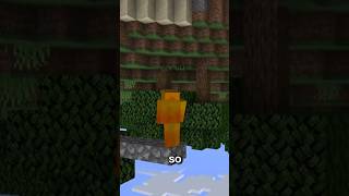 How I beat Minecraft upside down