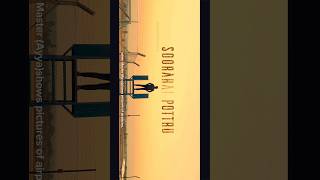 #sooraraipotru #pilottraining #flyingschool #aviation #theothersideofmakebelieve #flighttraining