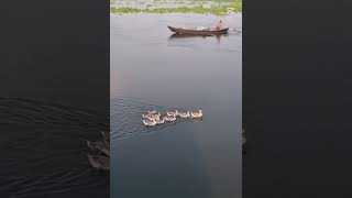 #motovlogs #motovlogger #motovlogbd #dailyvlog #funride  #tour #imagination #naturelovers #nature