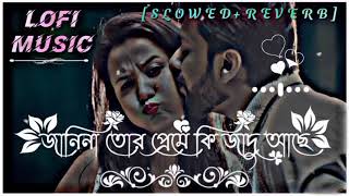 জানিনা তোর প্রেমে কি জাদু আছে 🥰 Janina Tor Preme Ki Jadu Ache || LOFI MIXED 🎧 || [ SLOWED & REVERB