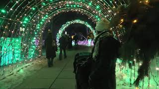 Holiday Lights at Minnesota Landscape Arboretum.