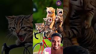 Funny cat video cartoon | billi cartoon | cat comedy video | #funny #cat #cartooncartoon #cartoon