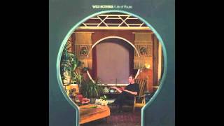 Wild Nothing // A Woman's Wisdom (Official Single)
