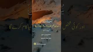Surah luqman #islamicstatus #urdu #deenreminder #trustallah #deenvibes #allahloves #youtubeshorts