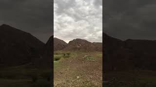 Winter in the Middle East #nature #desert #mountains