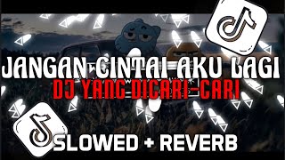 DJ JANGAN CINTAI AKU LAGI FULL SONG VIRAL TIKTOK