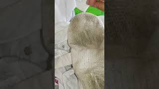 #encasadecindy #viral #reseñas #rutinadelavado #persilproclean #persil #cindyvlogs #ropablanca