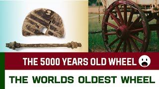 The world's oldest wooden wheel | The 5000 Year Old Wheel: A Journey Back in Time