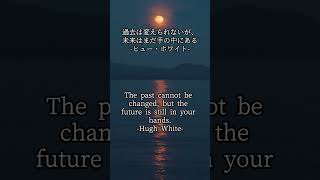【睡眠用】癒される偉人の名言集 Healing Quotes #shorts #famousquotes #名言