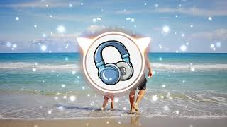 Nico Anuch - Pineapple (Vlog No Copyright Music)