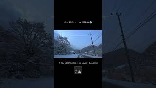 冬に聴きたくなる洋楽❄️#shorts  #ドライブ #洋楽 #雪道