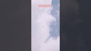 #emonjodihoto #joler_gaan  #birds #sky #viralreels #viralshorts #viralvideos #music #love