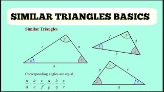 Similar Triangle Basics (HINDI)II GEOMETRY