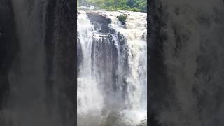 water fall #trending #trendingshorts #pawansingh #bholanath #guptadham #viralshorts #waterfall