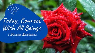 Relaxing Rain Sounds | 7 Minutes Meditation | Today, Connect With All Beings |